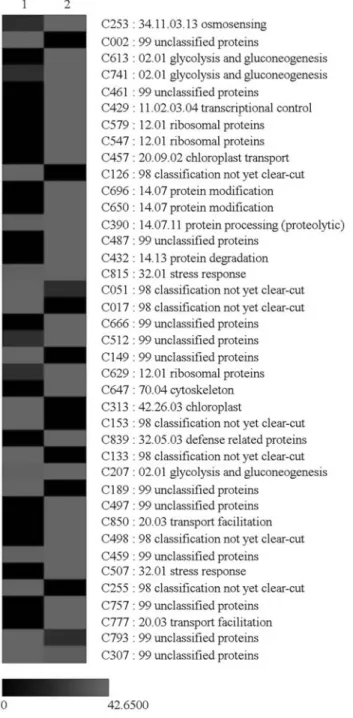 Figure 2 - Expression profiles of putative Rangpur lime water stress- stress-related EST contigs