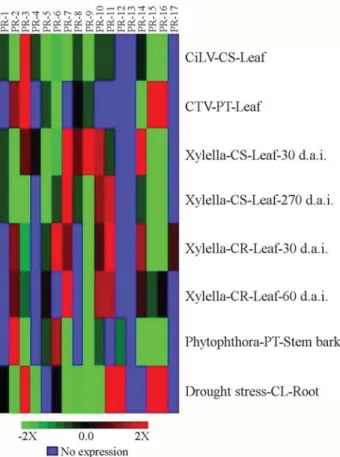 Figure 2 - In silico differential expression profiles of putative PR gene families (PR-1 to PR-17) in cDNA CitEST libraries from citrus organs  in-duced by pathogen or drought stresses