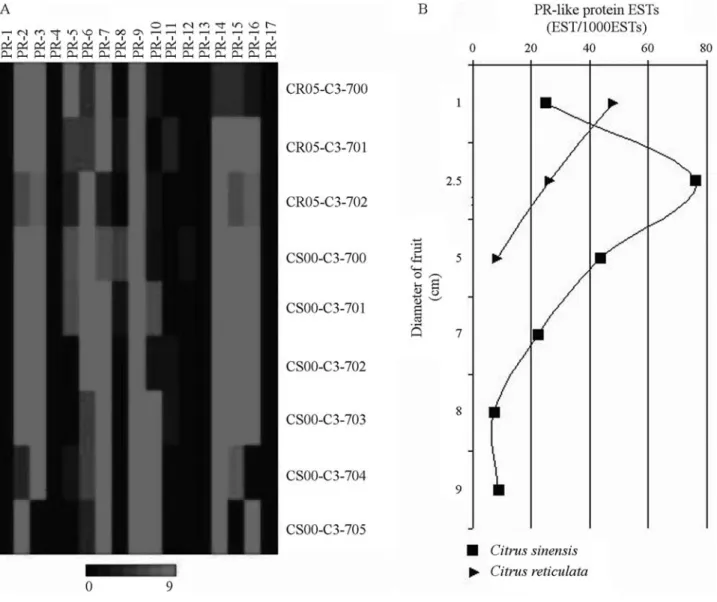 Figure 3 - Expression patterns of putative citrus PR gene families (PR-1 to PR-17) in fruit cDNA libraries (A)