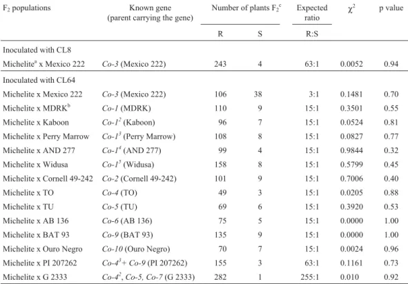 Table 1 - The F 2 segregation from resistant (R) x susceptible (S) and R x R Phaseolus vulgaris cultivar crosses for the genetic characterization of resistance to the phytopathogenic fungi Colletotrichum lindemuthianum races 8 and 64