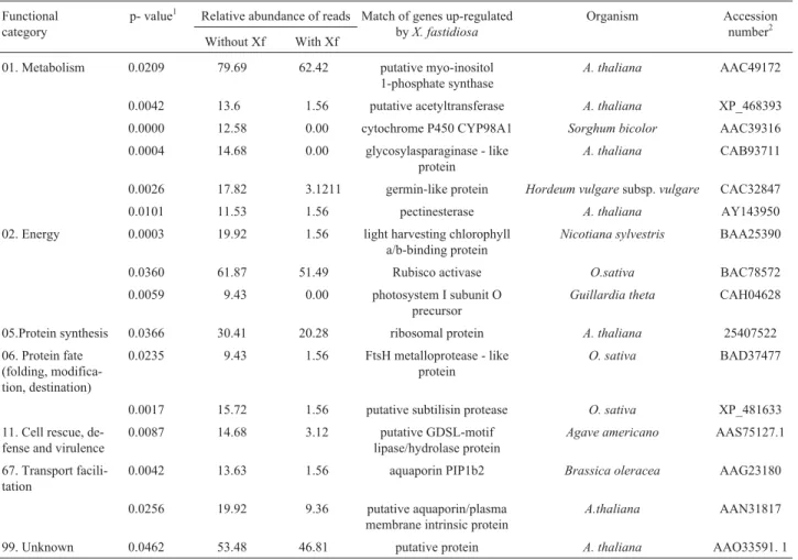 Table 1 - Functional categorization of the down-regulated genes in sweet orange plants exhibiting citrus variegated chlorosis symptoms Functional