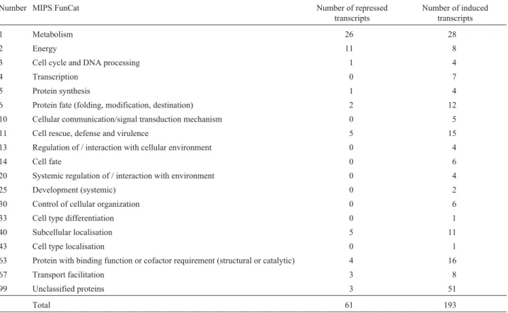 Table 1 - Categorization of differentially expressed transcripts in CiLV-C inoculated Citrus sinensis leaves according to Munich Center for Proteins and Sequences Functional Categories (MIPS).