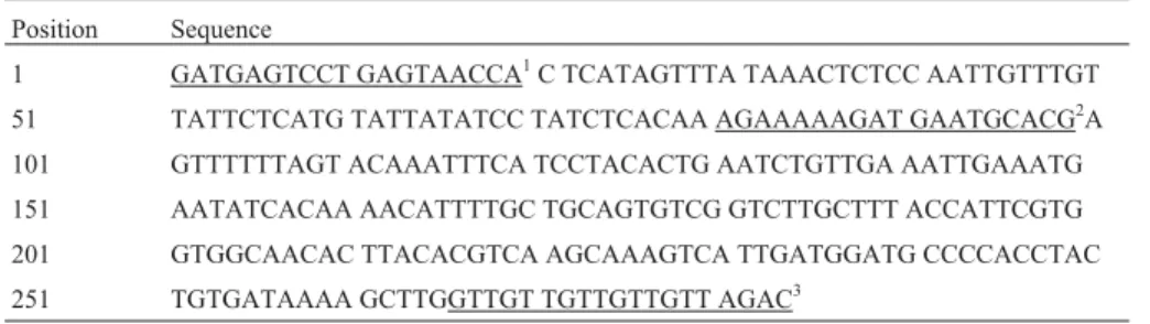 Table 2 - DNA sequence of the MFLP marker DAWA468.290 showing primers giving rise to sequence-specific markers LeM2.