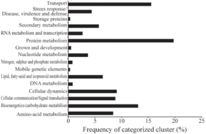 Figure 1 - Distribution of categorized clusters according to putative bio- bio-logical function defined by MIPS
