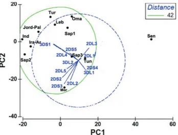 Figure 3 - Spatial distribution along the first and second principal compo- compo-nents (PC1 and PC2) grouping 74.2 of the variance of 12 KIR genes  fre-quencies from our studied Saudi population (Sap3) and 11 other  previ-ously described populations)