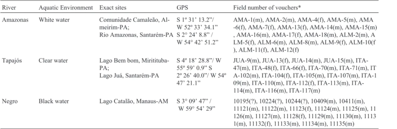 Table 1 - Sampling localities of Hoplias malabaricus from Amazon basin.