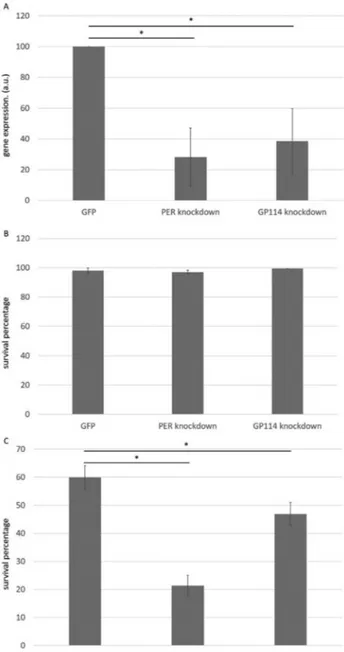 Figure 1 - Involvement of peroxiredoxin and glutathione peroxidase in anhydrobiosis in P