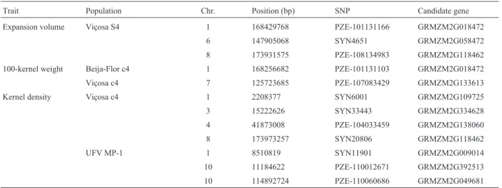 Table 5 - Location of SNPs with significant association at a false discovery rate of 10% for expansion volume, 100-kernel weight, or kernel density, in popcorn populations, and the candidate genes.