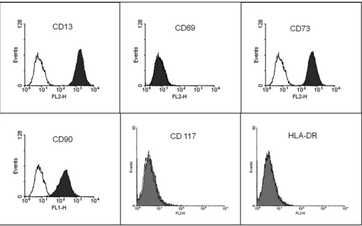 Figure 1 - Immunophenotypic profile of cultured human adipose-derived MSCs. Cells expressed CD13, CD73 and CD90, but did not express CD69, CD117 and HLA-DR markers.