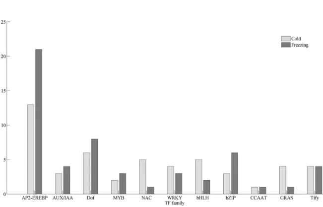 Figure 6 - Distribution of transcription factors differentially expressed in response to cold and/or freezing stress by gene family.