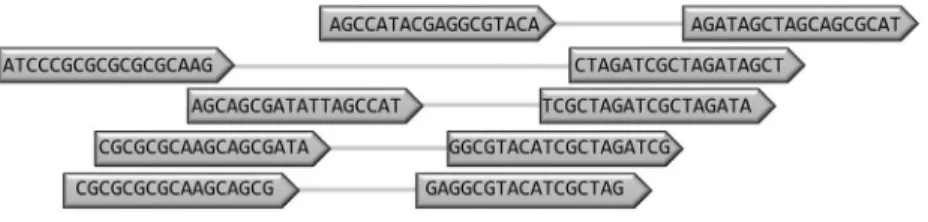 Figure 3 - Example of a gap-closing approach using paired-end reads. (a) Taking as example a scaffold constituted by two contigs joined by an assembly gap (a run of `N’s) by remapping the reads back to the contigs (b) it is possible to identify reads that 