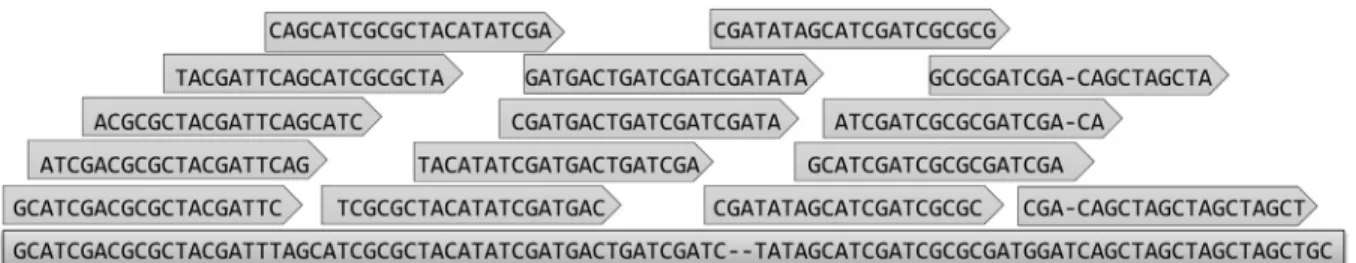 Figure 4 - Example of a simplified assembly correction approach for base substitutions and insertion/deletion misassemblies