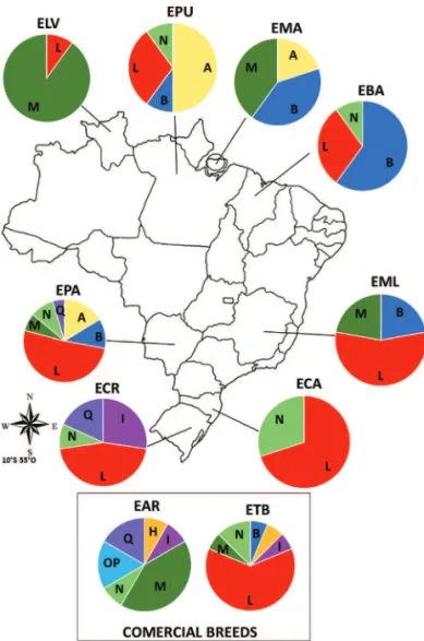Figure 1 - Haplogroup frequency in Brazilian horse breeds. Haplogroup classification is according to Achilli et al