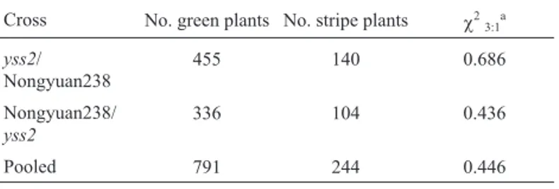 Table 2 - Segregation of green and striated seedlings in F 2 populations from two crosses.