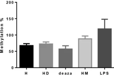Figure 2 - Relative expression results of different cell culture models. The 1-3 are exon 2 spliced transcripts’ expressions and 2-3 exon 2 containing transcripts’ expressions
