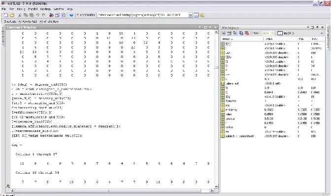 Figura 8. Código para visualização da matriz de conectividade no Matlab. 