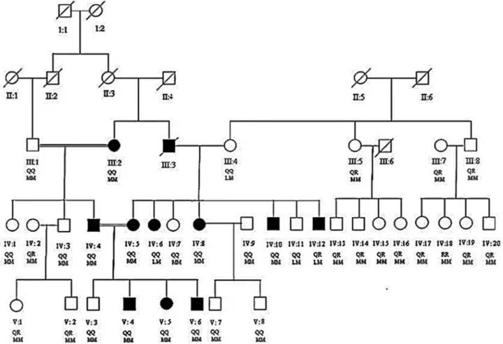 Figure 1 - Pedigree of hypercholesterolemia family. Filled boxes and circles represent male and female patients respectively