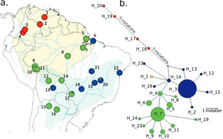 Figure 4 - Map and haplotype network. (a) Map showing the distribution of A. aestiva (light blue) and A