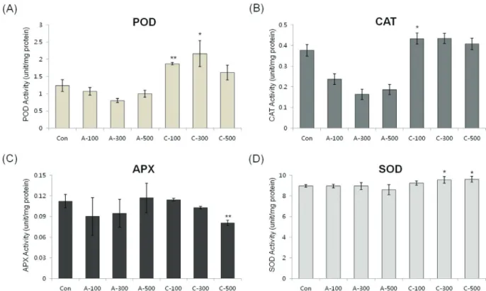Figure 5 - Effect of acute and chronic gamma irradiation treatment on the activities of (A) POD, (B) CAT, (C) APX, and (D) SOD in colored wheat dry seeds