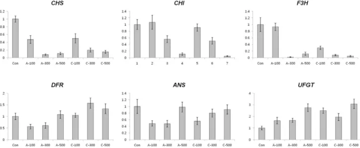 Figure 7 - Expression profiling of anthocyanin biosynthesis genes in wheat seedlings. CHS, CHI, F3H, DFR, ANS, and UFGT
