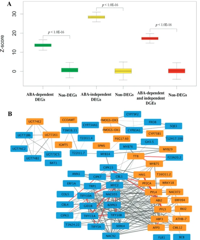 Figure 4 - Interaction analysis between ABA-dependent and ABA-independent drought-responsive genes
