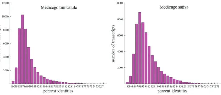 Figure 1 - Sequence identity distributions of unique Medicago ruthenica transcripts against M