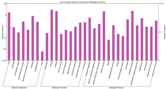 Figure 3 - GO classification results for annotated unique transcripts in Medicago ruthenica