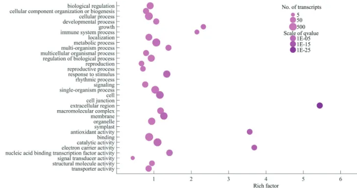 Figure 6 - Gene ontology (GO) enrichment analysis of Medicago ruthenica unique transcripts response to abiotic stress