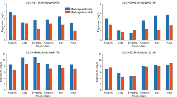 Figure 7 - Comparisons of the expression profiles of four Medicago ruthenica unigenes that are differentially expressed in the response to abiotic stress and their homologs in M