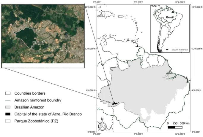 Fig. 1. Location of the forest fragment (Parque Zoobotânico) in the urban area of Rio Branco, Acre, southwestern Amazonia, Brazil.
