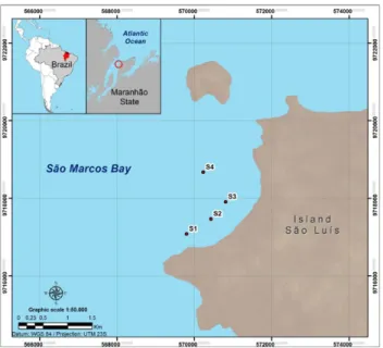 Fig. 1. Sites location at São Marcos Bay, state of Maranhão, Brazil.