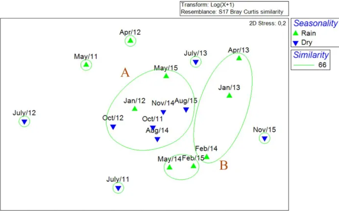 Fig. 7. Non-metric Multidimensional Scaling (NMDS) for abundance among fish assemblages for the months of capture in São Marcos Bay, Maranhão, Brazil.