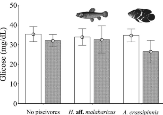 Fig. 1. Mean and standard error of plasma cortisol levels for Astyanax  bimaculatus (Linnaeus, 1758) shoals in treatments with clear (white box) and  turbid water (striped box)