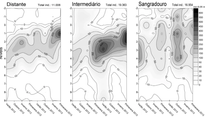 Fig. 8. Abundância total média de Tholozodium rhombofrontalis (Giambiagi, 1922) (ind./0,05 m 2 ) registrada nos três locais de coleta (distante, intermediário  e sangradouro) ao longo dos níveis e das oito amostragens realizadas na praia de Barrancos, Para