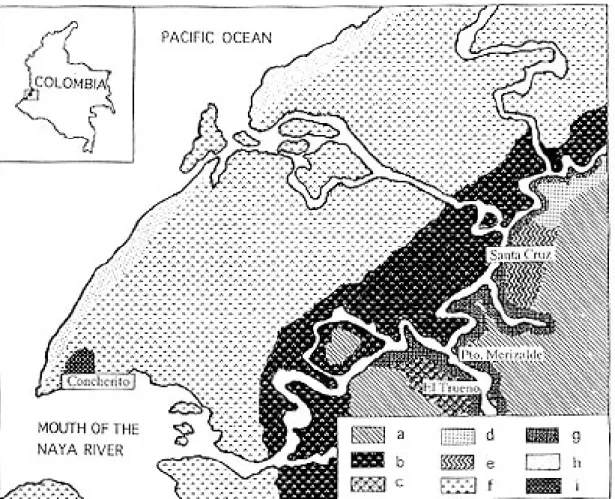 Fig. 1: types of vegetation cover on the lower Naya River. a - tropical humid forest on hills, b - mangrove/cuangarial, c - -cultivated areas/forest, d - Pelliciera-Euterpe rhizophorae, e - Euterpe-Pterocarpus-Symphonia, f - mangroves, g - -cultivated area