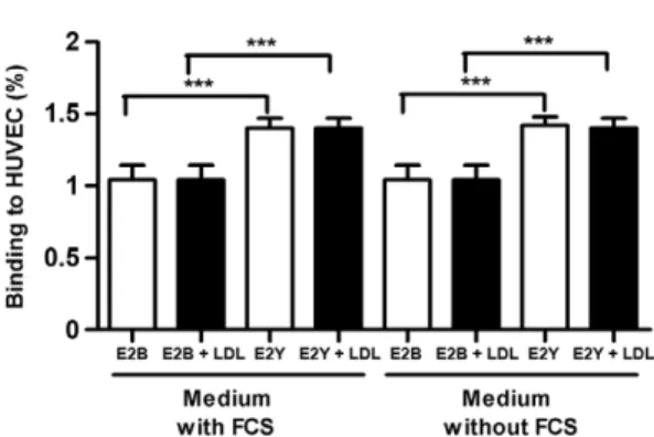 Fig. 7: binding of recombinant E2B and E2Y to human umbilical vein  endothelial cells (HUVEC) with blocked CD81 - effect of the addition  of low-density lipoprotein (LDL) and foetal bovine serum (FCS)