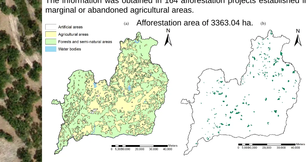 Fig. 2  a) land cover in 2000; b) projects 