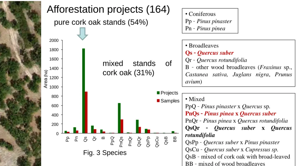 Fig. 3 Species  