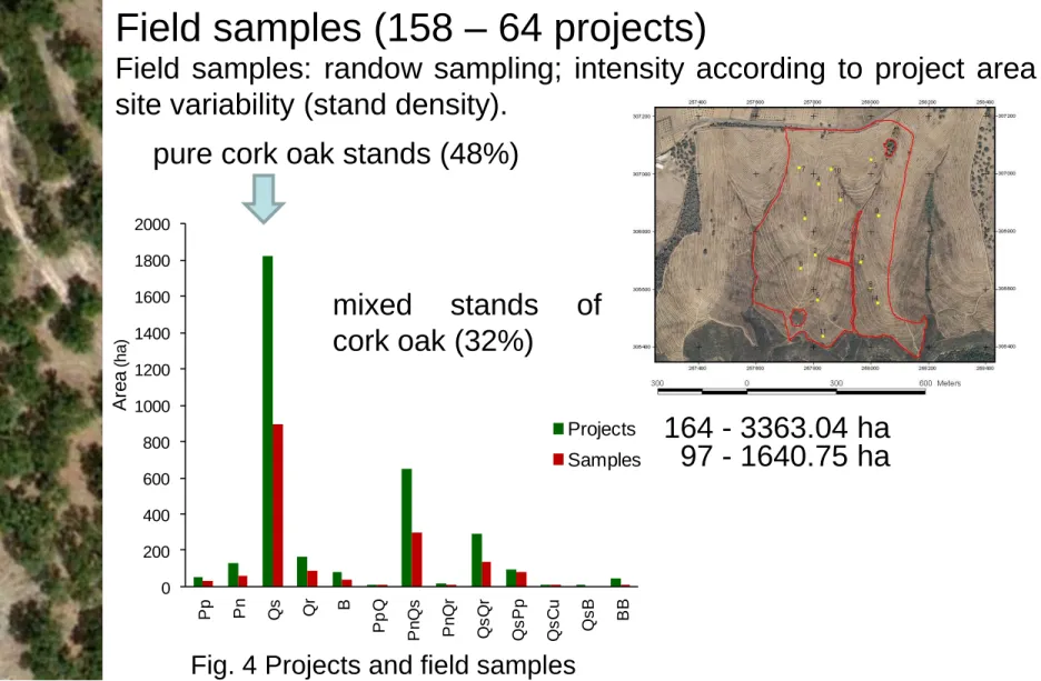 Fig. 4 Projects and field samples  