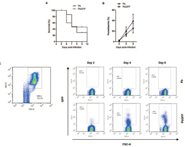 Fig. 1A: survival rates for C57BL/6 mice infected with Plasmodium berghei (Pb) (solid line) or green fluorescent protein-expressing Pb (PbGFP)  (dashed line)