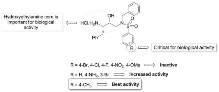 Fig. 6: structure-activity relationship for the studied hydroxyethylamine 5a-i series.