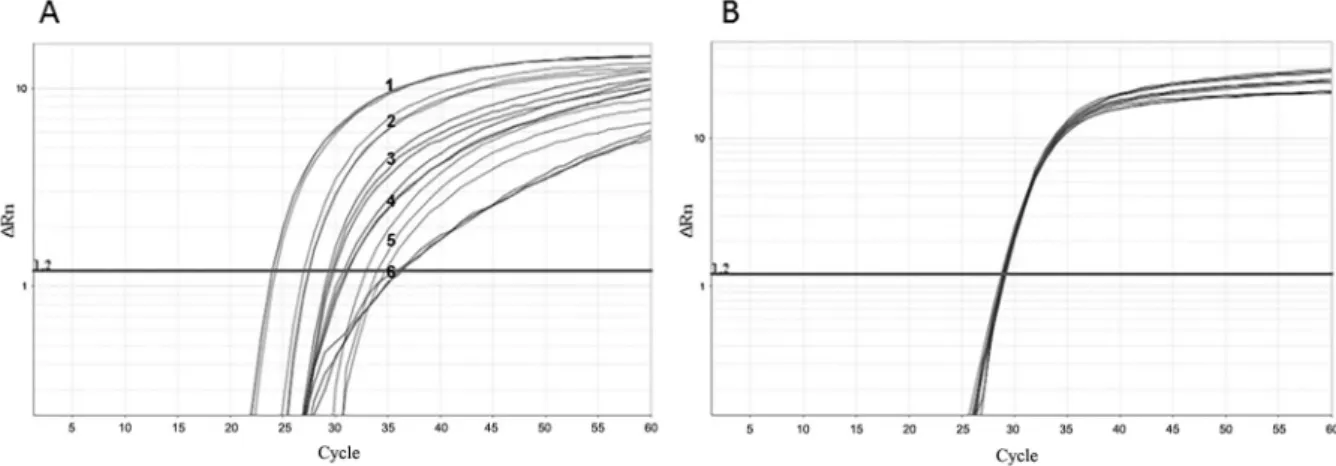 Fig. 5: amplification of human immunodeficiency virus/internal control (HIV/IC) multiplex reactions