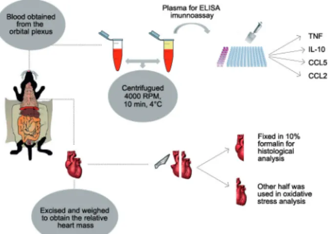 Fig. 1: illustrative panel of the trials carried out in this work.