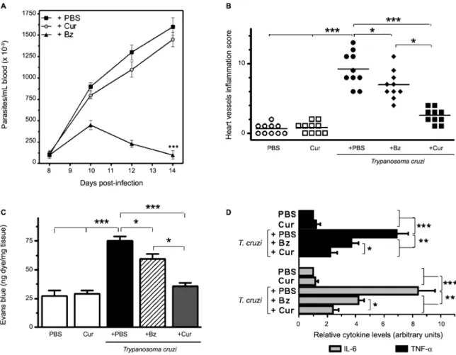 Fig. 3: effects of curcumin (Cur) treatment on parasitaemia, vascular inflammation and permeability, and myocardial pro-inflammatory cy- cy-tokine levels in acutely infected mice