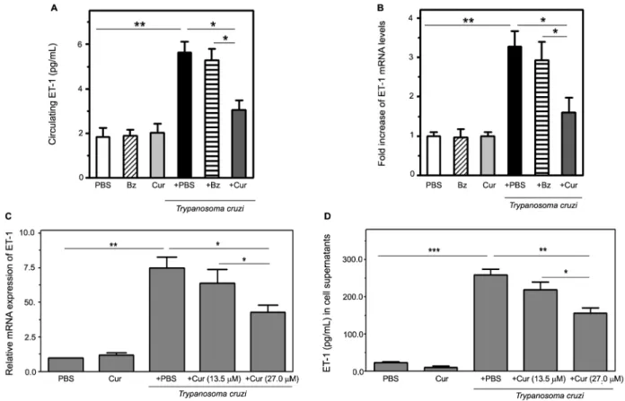 Fig. 4: curcumin (Cur) attenuates endothelin-1 (ET-1) induction triggered by Trypanosoma cruzi infection