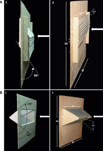 Fig. 1: exit traps were attached to wooden sheet supports to test phle- phle-botomine sand flies under laboratory conditions