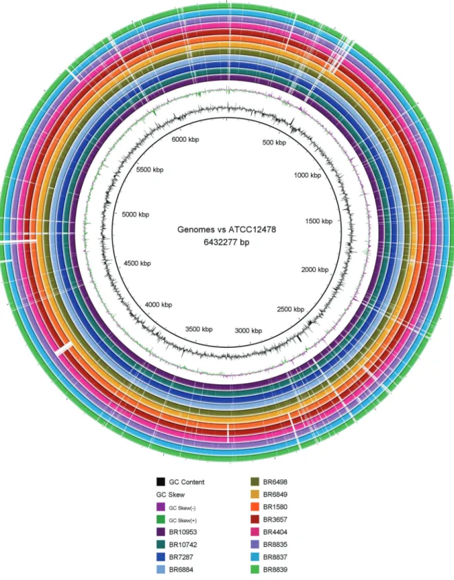 Fig. 1: BLAST ring image of the 12 Brazilian genomes against the ATCC 12478 reference genome.