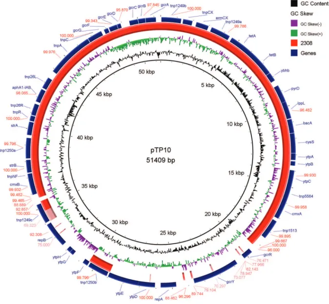 Fig. 1: comparison generated by BRIG program using the MDR pTP10 of Corynebacterium striatum M82B (Genbank accession number: AF024666)  as reference on the inner black circle