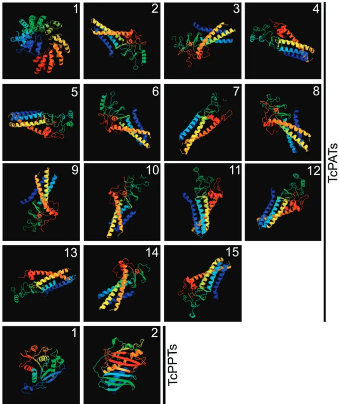 Fig. 2: predicted 3D models of Trypanosoma cruzi PATs and PPTs. The software Phyre2 was used