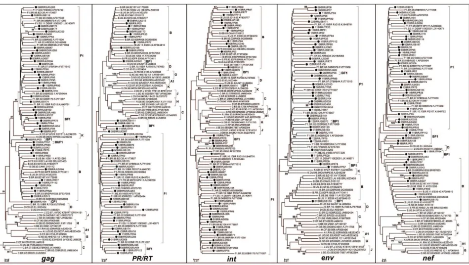 Fig. 1: neighbor-joining phylogenetic analysis of the 55 studied HIV-1 samples in five genomic regions: gag, 854 bp; pol (PR/RT), 949 bp; int, 672 bp; env, 1416 bp and nef, 459 bp